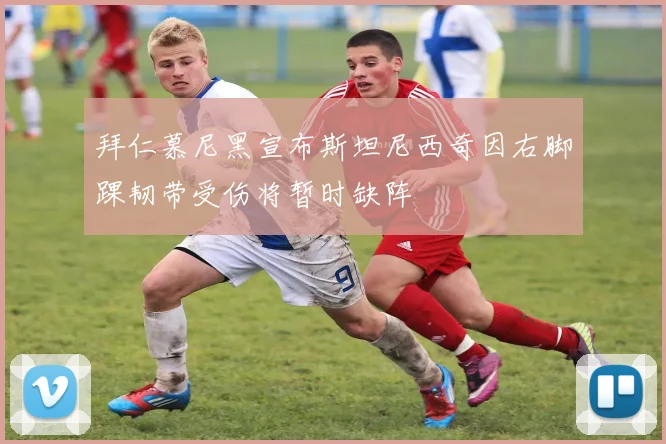 拜仁慕尼黑宣布斯坦尼西奇因右脚踝韧带受伤将暂时缺阵