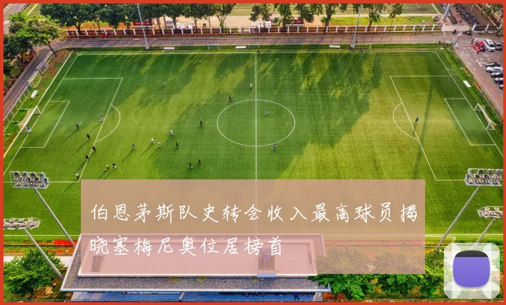 伯恩茅斯队史转会收入最高球员揭晓塞梅尼奥位居榜首