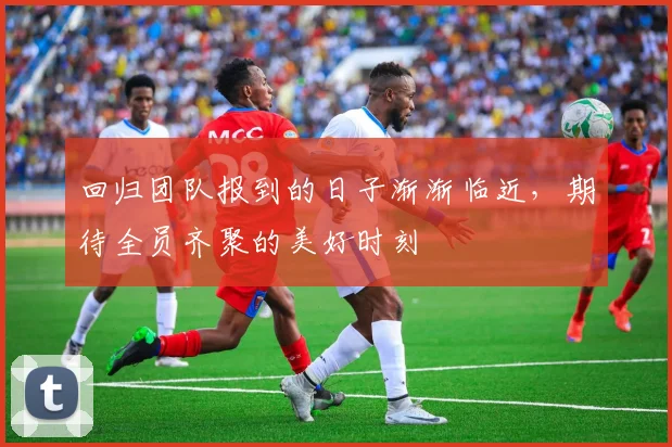回归团队报到的日子渐渐临近，期待全员齐聚的美好时刻